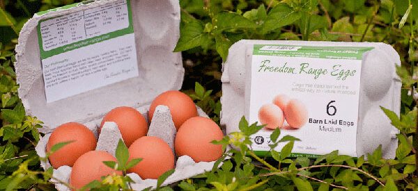 Free-range eggs from Freedom Range Eggs, a farming partner of The Summerhouse