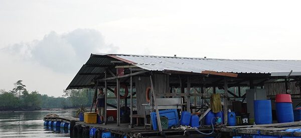 Local kelong farm of Seafood Culture, a seafood partner of The Summerhouse