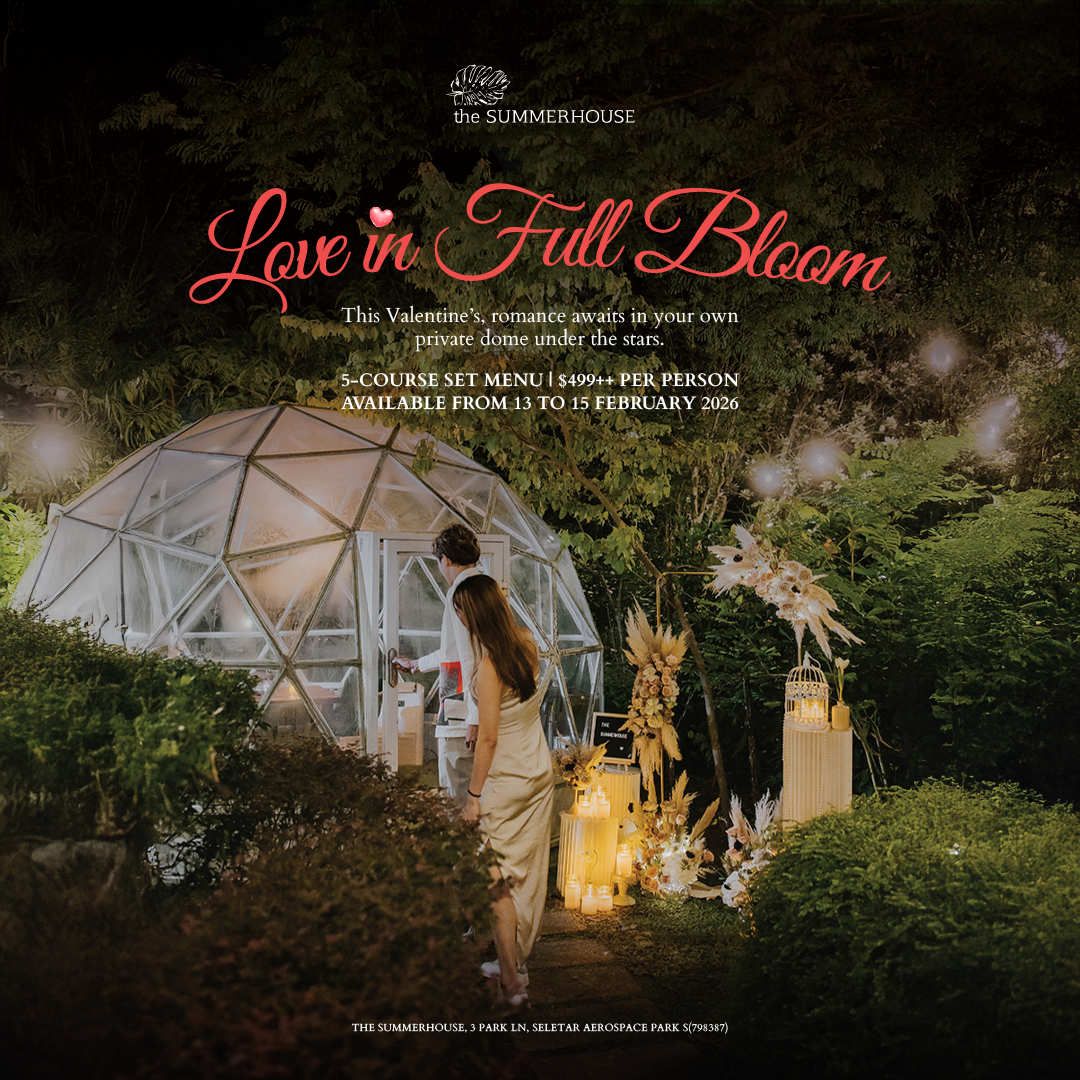 181225_TSH Dome VDAY 2026_SQ 181225_TSH Dome VDAY 2026_SQ