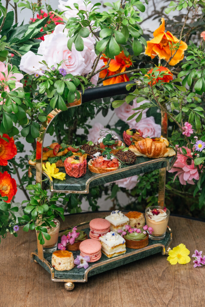 260326_TAM_EDITED-339-683x1024 260326_TAM_EDITED-339-683x1024